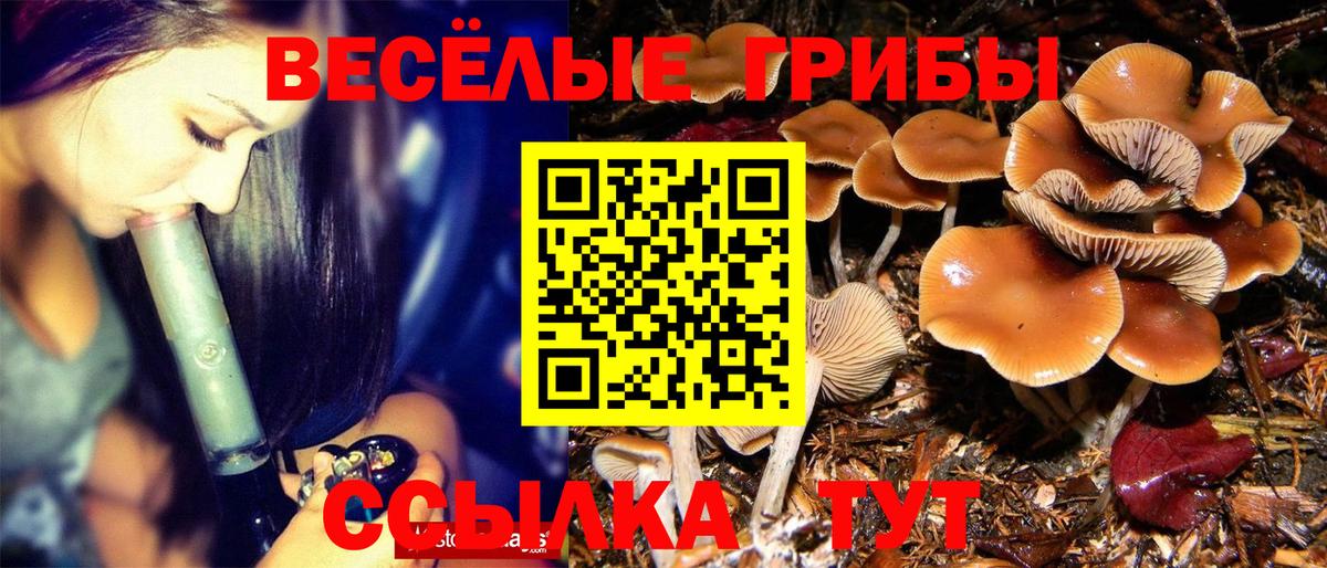 Псилоцибиновые грибы GOLDEN TEACHER Железноводск