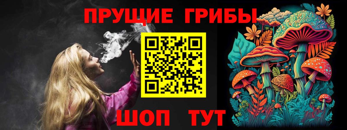 Галлюциногенные грибы Psilocybine cubensis  Вход с VPN  Псилоцибиновые грибы мицелий  Железноводск 